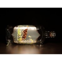 Jagerglass - Sada s lahví 0,5l + sklenice na stopce likér 30 ml